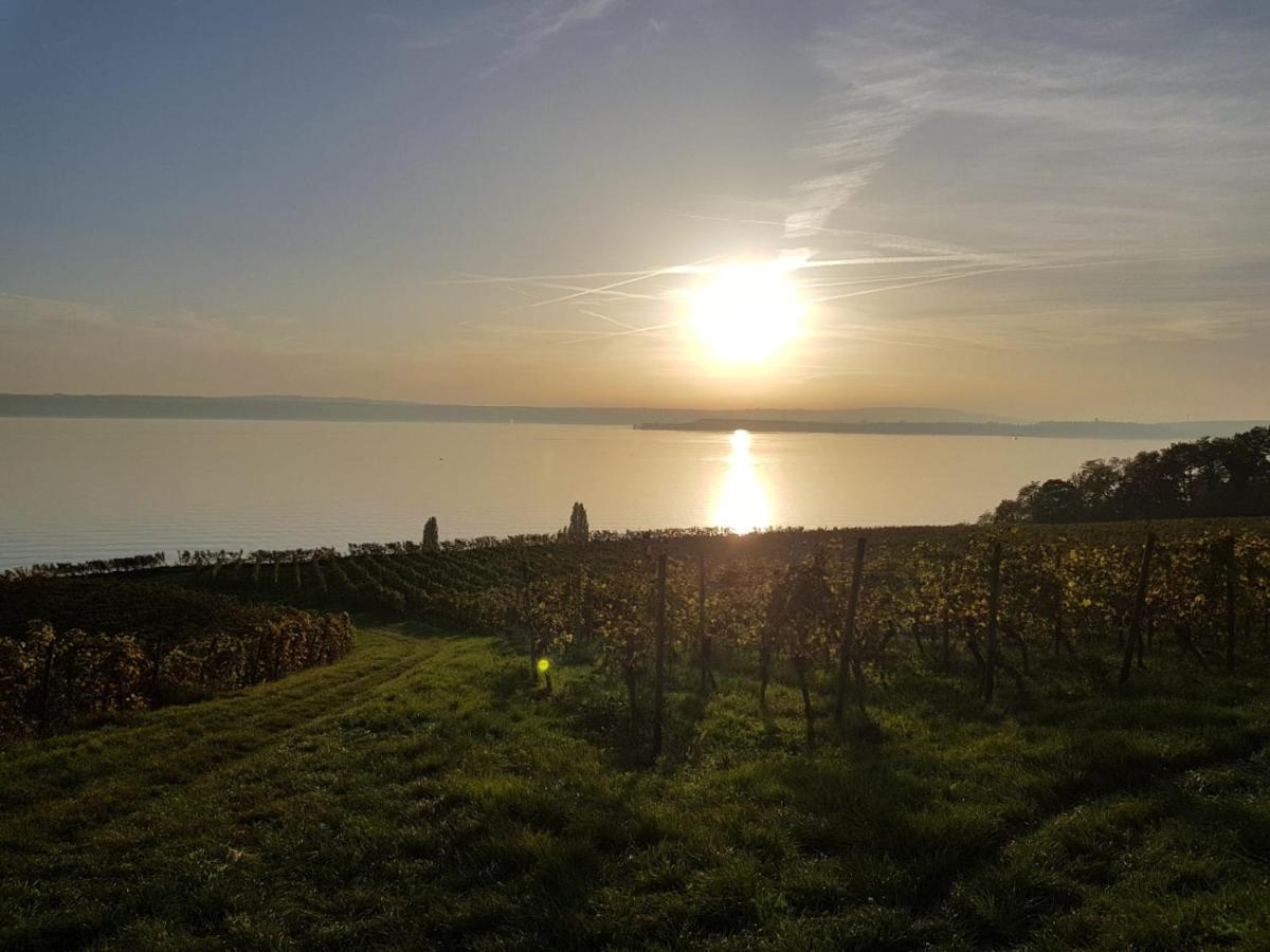Schoene Stadtwohnung In Friedrichshafen Am Bodensee Exterior foto